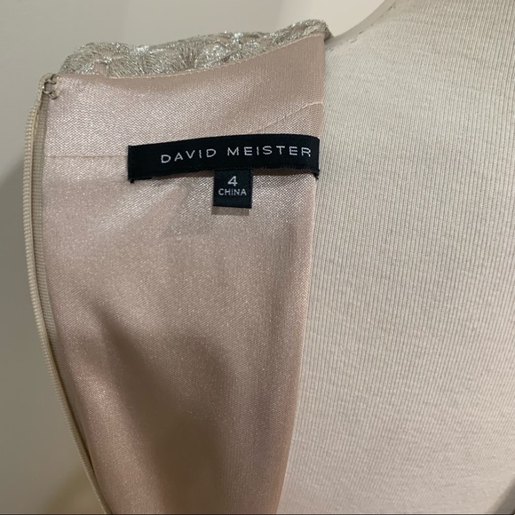 David Meister Champagne feather sleeveless lace midi dress - Picture 6 of 9